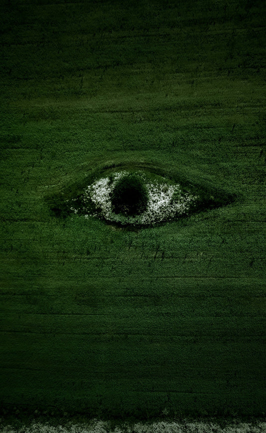 The Witness